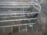 picture 5 of 5 - 24 Stainless steel crates - $300 each. they have not been around hogs for at least 15 years.  They had been feeding bottle calves as that is what the black holder is.