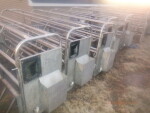 picture 2
 of 5 - 24 Stainless steel crates - $300 each. they have not been around hogs for at least 15 years.  They had been feeding bottle calves as that is what the black holder is.